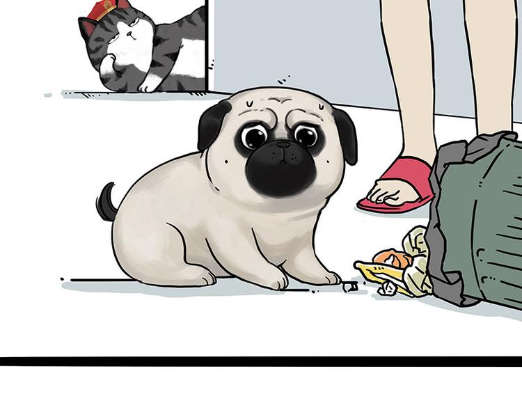 吾皇巴扎黑超话漫画,第210话 巴扎黑是最委屈的狗1图