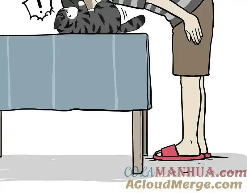 吾皇巴扎黑漫画,第382话 开心就好2图