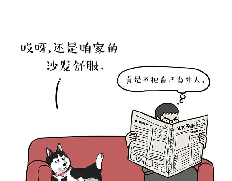 吾皇巴扎黑漫画,第141话 左右为难1图