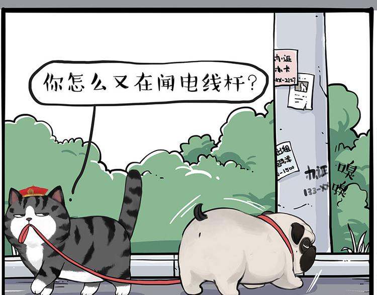 吾皇巴扎黑漫画,第258话 靠脸吃饭1图