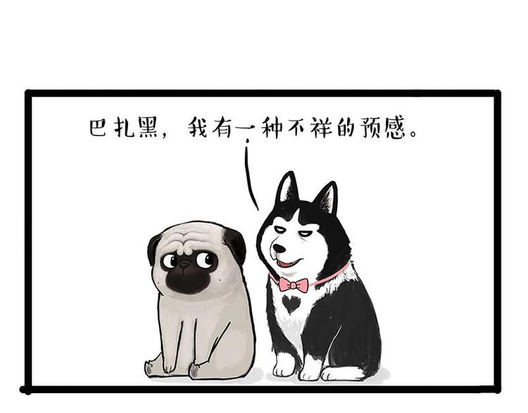 吾皇巴扎黑漫画,第155话 狗之礼仪1图