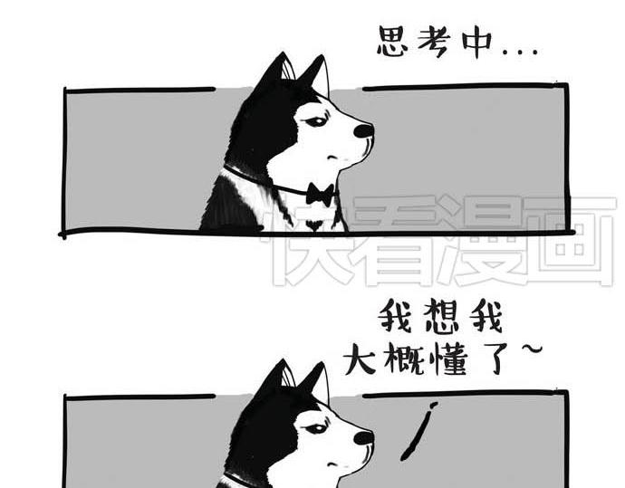 吾皇巴扎黑漫画,第31话 来自喵星人的快感1图