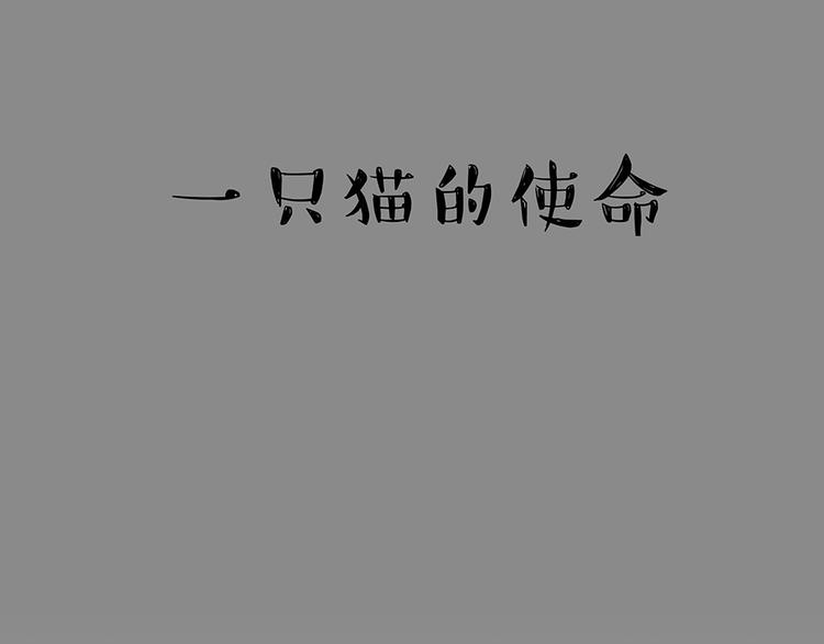 吾皇巴扎黑漫画,第52话 宠物的使命2图