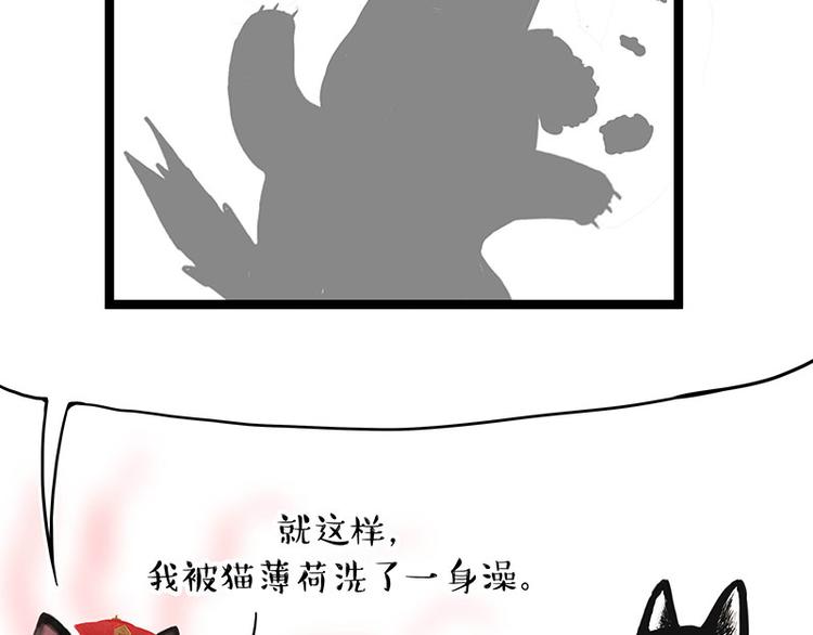 吾皇巴扎黑漫画,第284话 美喵竟是我自己1图