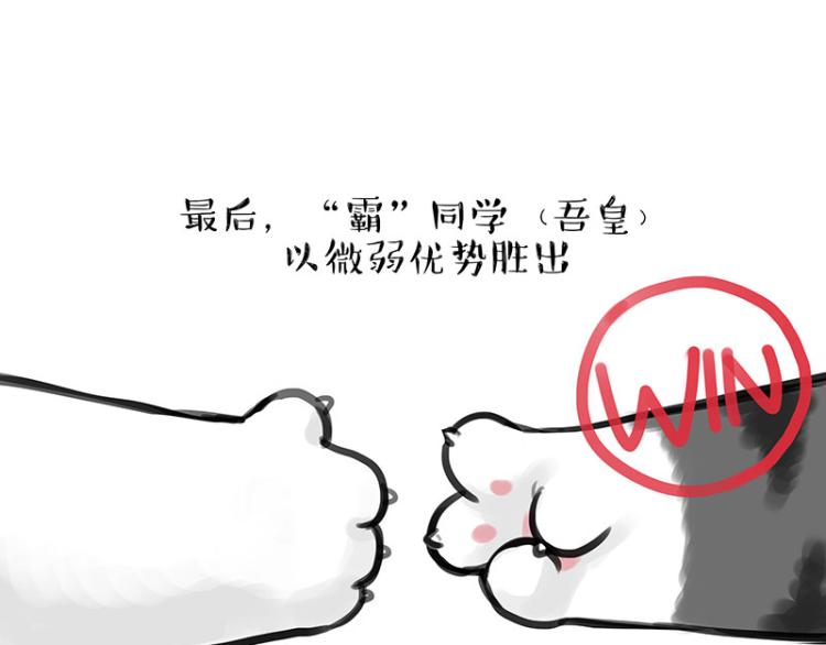 吾皇巴扎黑漫画,第291话 好兄弟，一辈子2图