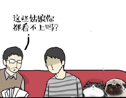 吾皇巴扎黑漫画,第22话 全民CP时代！2图