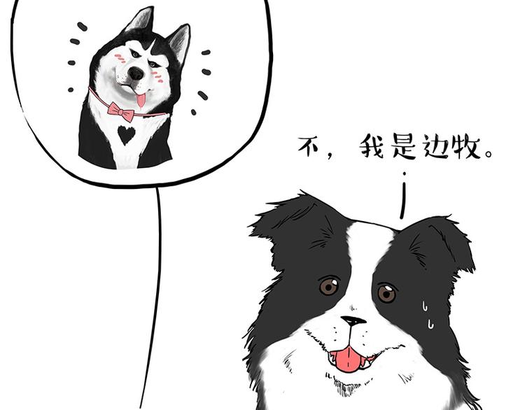 吾皇巴扎黑漫画,第207话 巴扎黑丢了？！2图