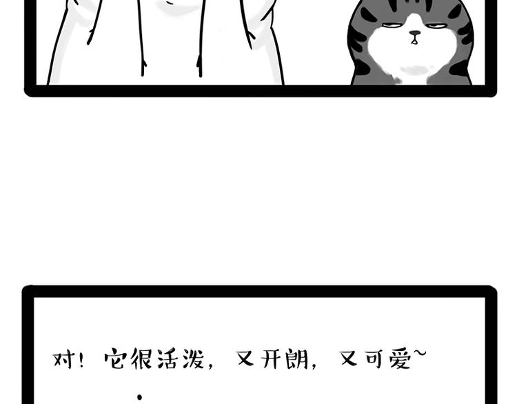 吾皇巴扎黑漫画,第238话 吾皇的爱情“喵”招1图