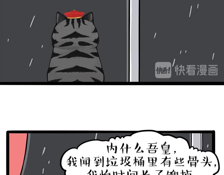 吾皇巴扎黑漫画,第265话 雨夜“惊魂”2图