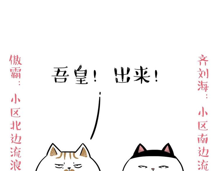 吾皇巴扎黑漫画,第189话 就你胖，还能浪1图