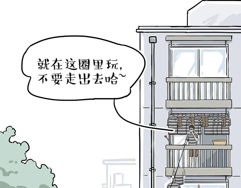 吾皇巴扎黑漫画,第305话 白表白了2图
