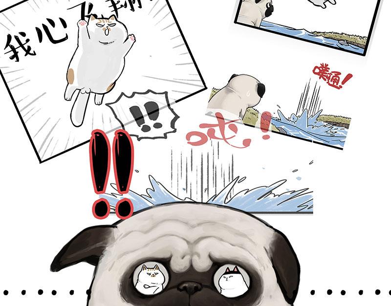 吾皇巴扎黑漫画,第336话 “告别”仪式1图