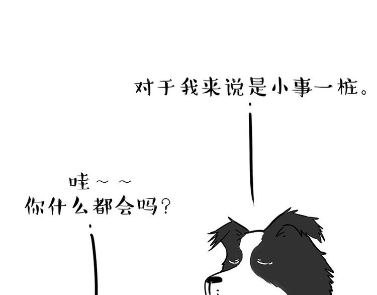 吾皇巴扎黑漫画,第207话 巴扎黑丢了？！1图