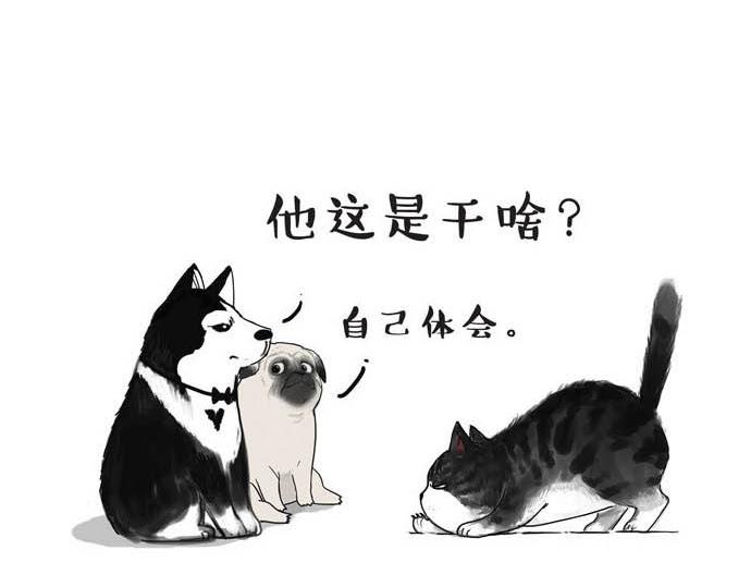 吾皇巴扎黑漫画,第31话 来自喵星人的快感2图