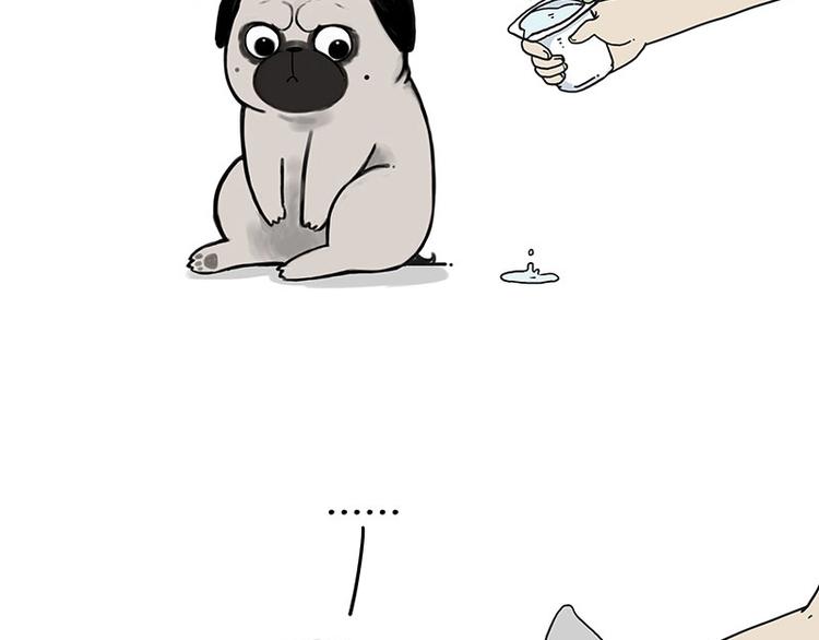 吾皇巴扎黑漫画,第172话 少年大改造？2图
