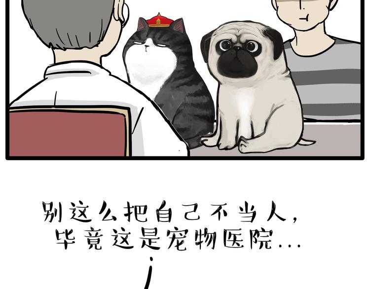 吾皇巴扎黑漫画,第79话 带宠物看病（下）1图