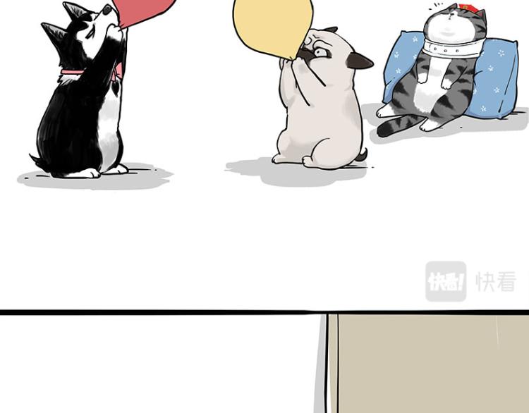 吾皇巴扎黑漫画,第292话 吐槽拯救世界2图