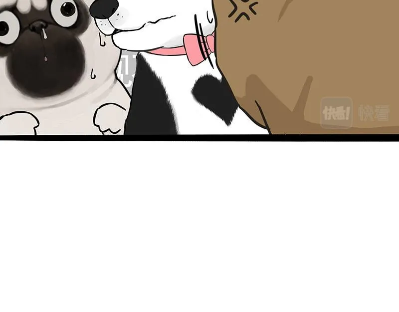 吾皇巴扎黑漫画,第375话 偶遇恶犬1图