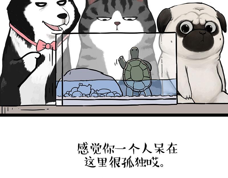 吾皇巴扎黑漫画全集漫画,第299话 真假虚实1图