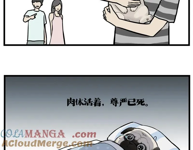 吾皇巴扎黑漫画,第423话 卡沙不拦卡1图