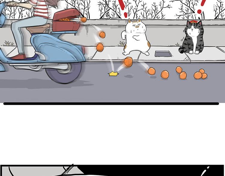 吾皇巴扎黑漫画,第248话 童话是真的1图
