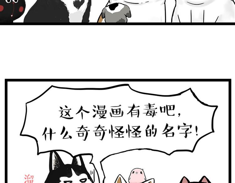 吾皇巴扎黑漫画,第269话 跟我回家吧1图