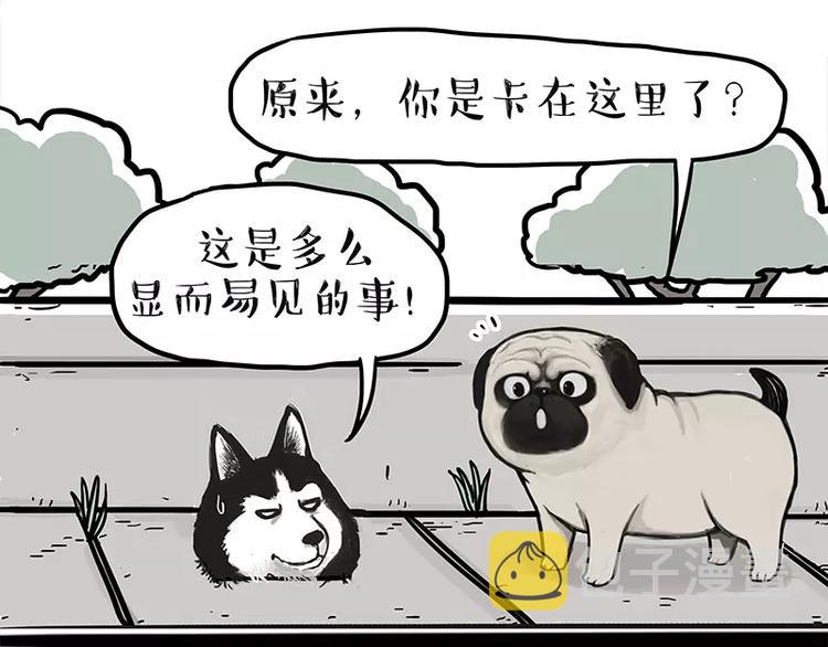 吾皇巴扎黑漫画,第105话 劲往一处使2图