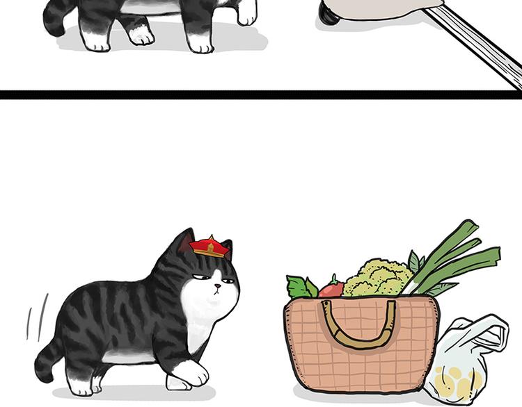 吾皇巴扎黑漫画,第137话 泪水，止不住2图