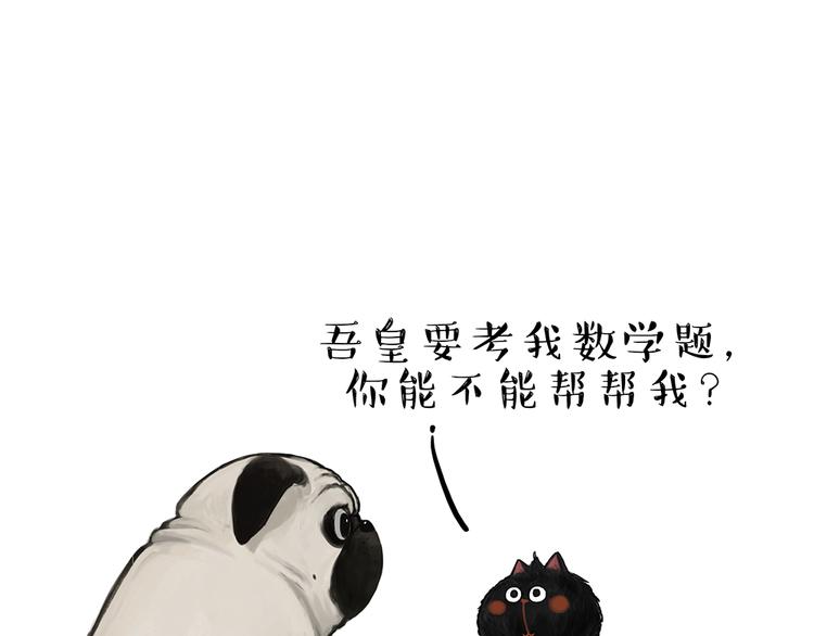 吾皇巴扎黑漫画,第51话 猫和狗的待遇就是不同1图