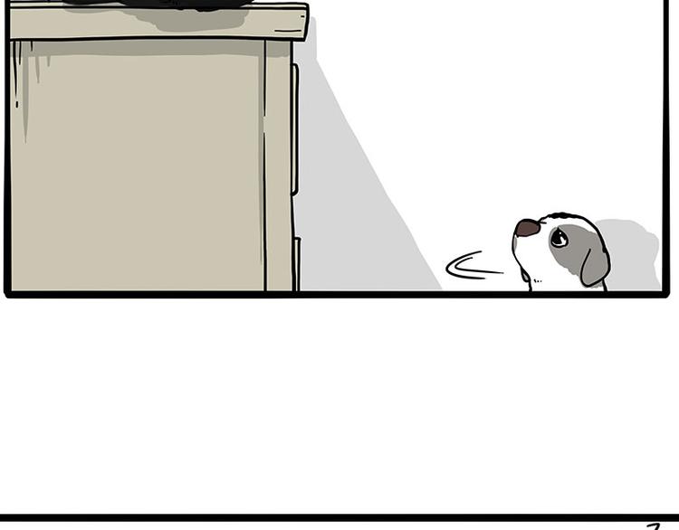 吾皇巴扎黑漫画,第270话 胖老猫你个大骗子！2图