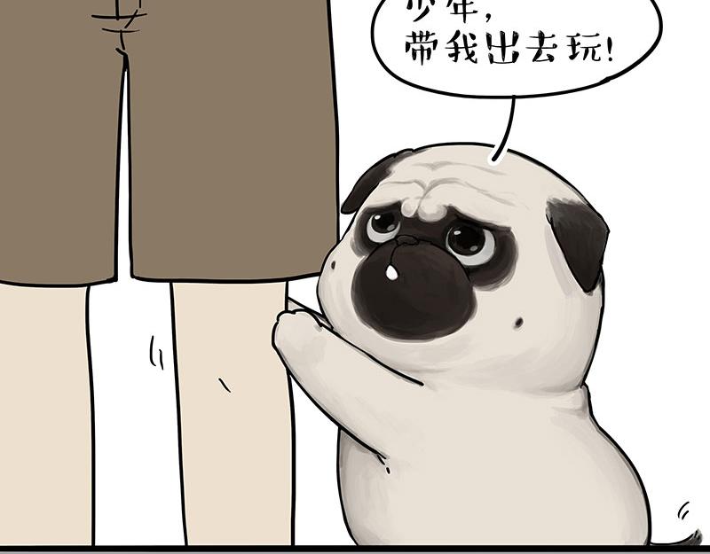 吾皇巴扎黑漫画,第305话 白表白了1图