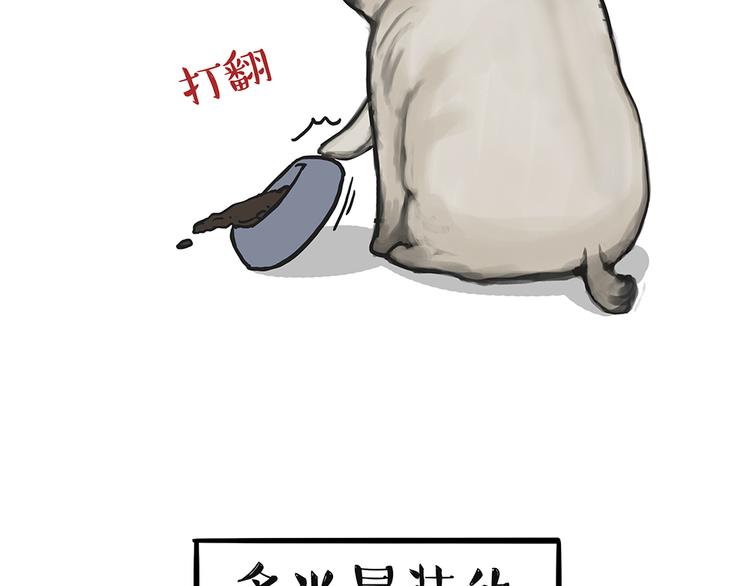 吾皇巴扎黑漫画,第51话 猫和狗的待遇就是不同2图