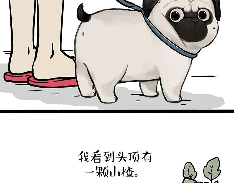 吾皇巴扎黑漫画,第365话 “神犬”巴扎黑1图