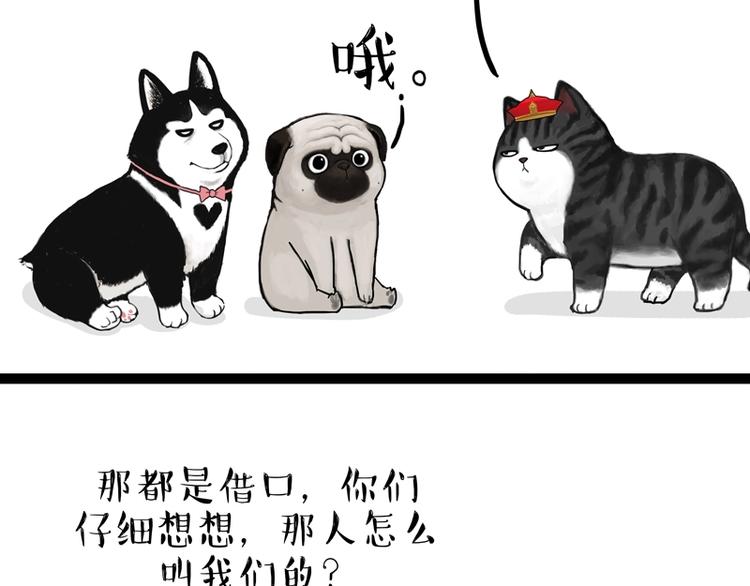吾皇巴扎黑漫画,第153话 我最狗2图