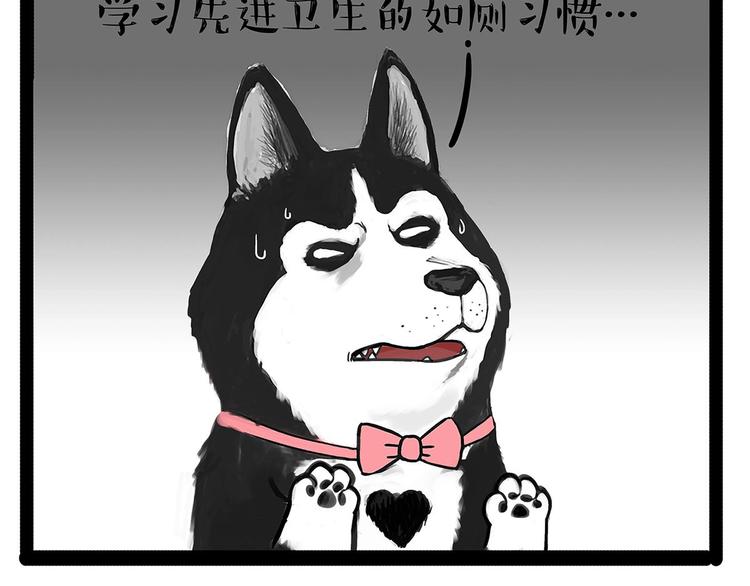 吾皇巴扎黑漫画,第202话 谁动了吾皇的猫粮1图