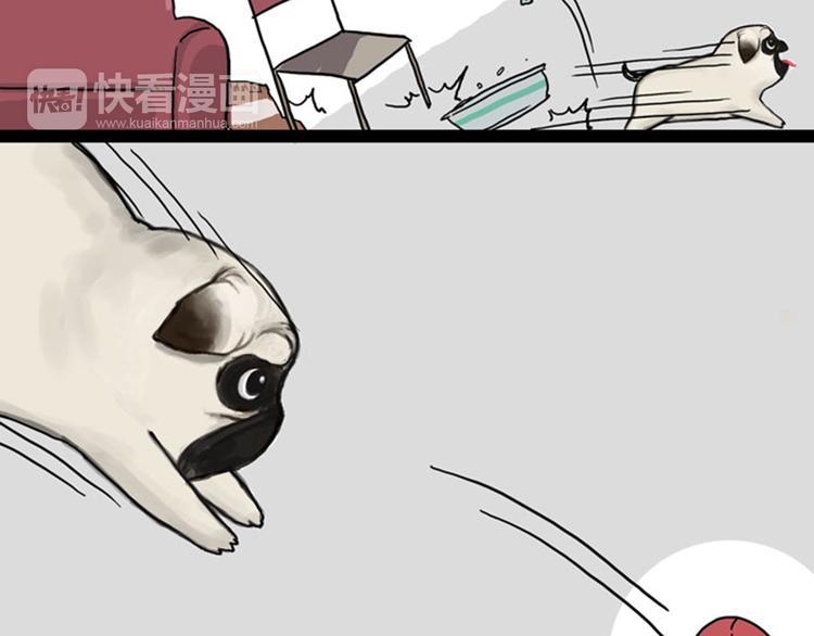 吾皇巴扎黑漫画,第34话 总有一些时刻很想虐狗1图