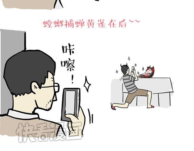 吾皇巴扎黑漫画,第15话 猫引发的朋友圈惨案2图