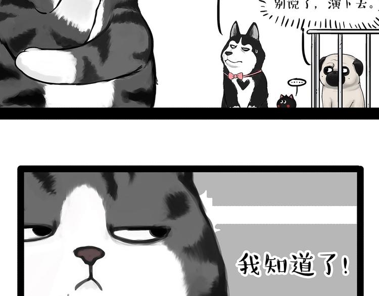 吾皇巴扎黑超话漫画,第202话 谁动了吾皇的猫粮2图