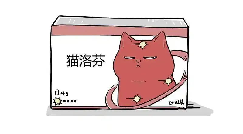 吾皇巴扎黑漫画,12月20日请假条2图