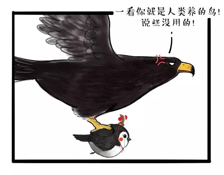 吾皇巴扎黑漫画,第168话 翅中历险记1图