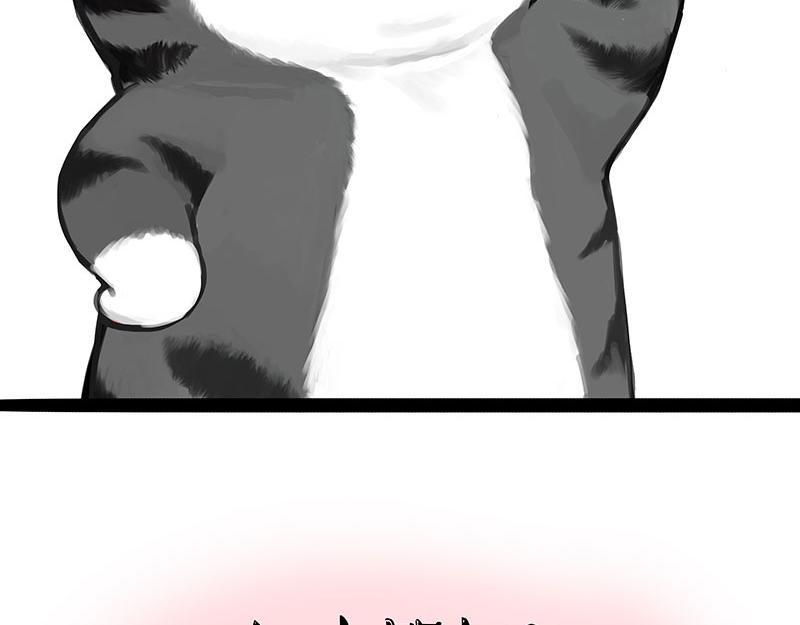 吾皇巴扎黑漫画,第367话 都不是事儿2图