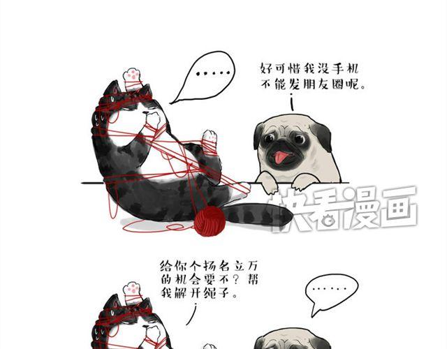 吾皇巴扎黑漫画,第15话 猫引发的朋友圈惨案1图