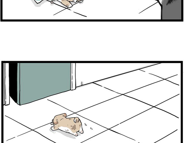 吾皇巴扎黑漫画,第266话 我偷垃圾养你2图