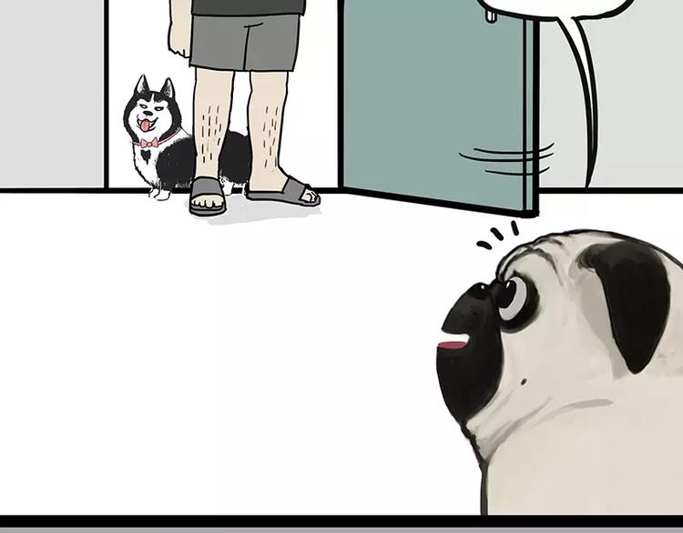 吾皇巴扎黑漫画,第106话 遛弯2图