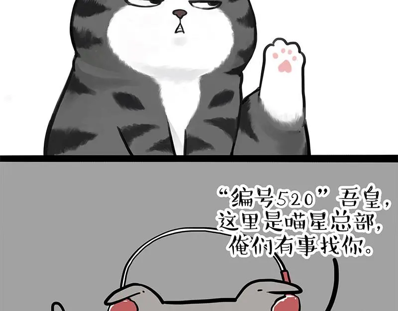吾皇巴扎黑漫画,第326话 学好航天，接喵回家1图