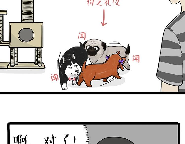 吾皇巴扎黑漫画,第155话 狗之礼仪1图