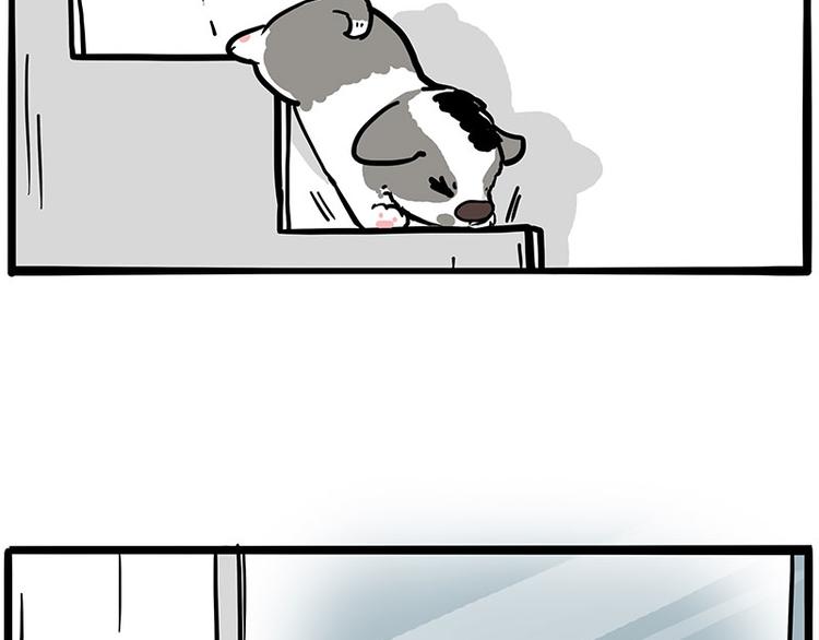 吾皇巴扎黑漫画,第270话 胖老猫你个大骗子！2图