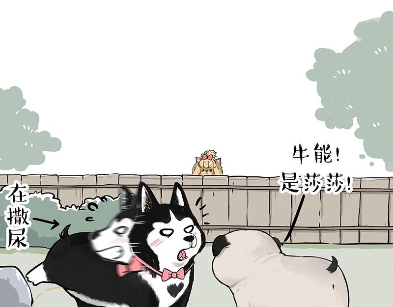 吾皇巴扎黑漫画全集漫画,第327话 TA眼中的你1图
