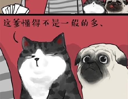 吾皇巴扎黑漫画,第22话 全民CP时代！2图