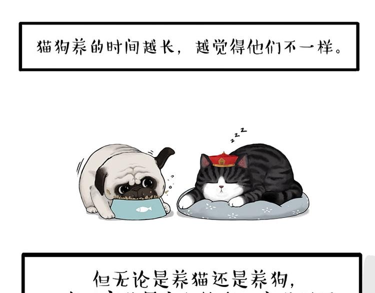 吾皇巴扎黑超话漫画,第154话 要给自己打个气！2图